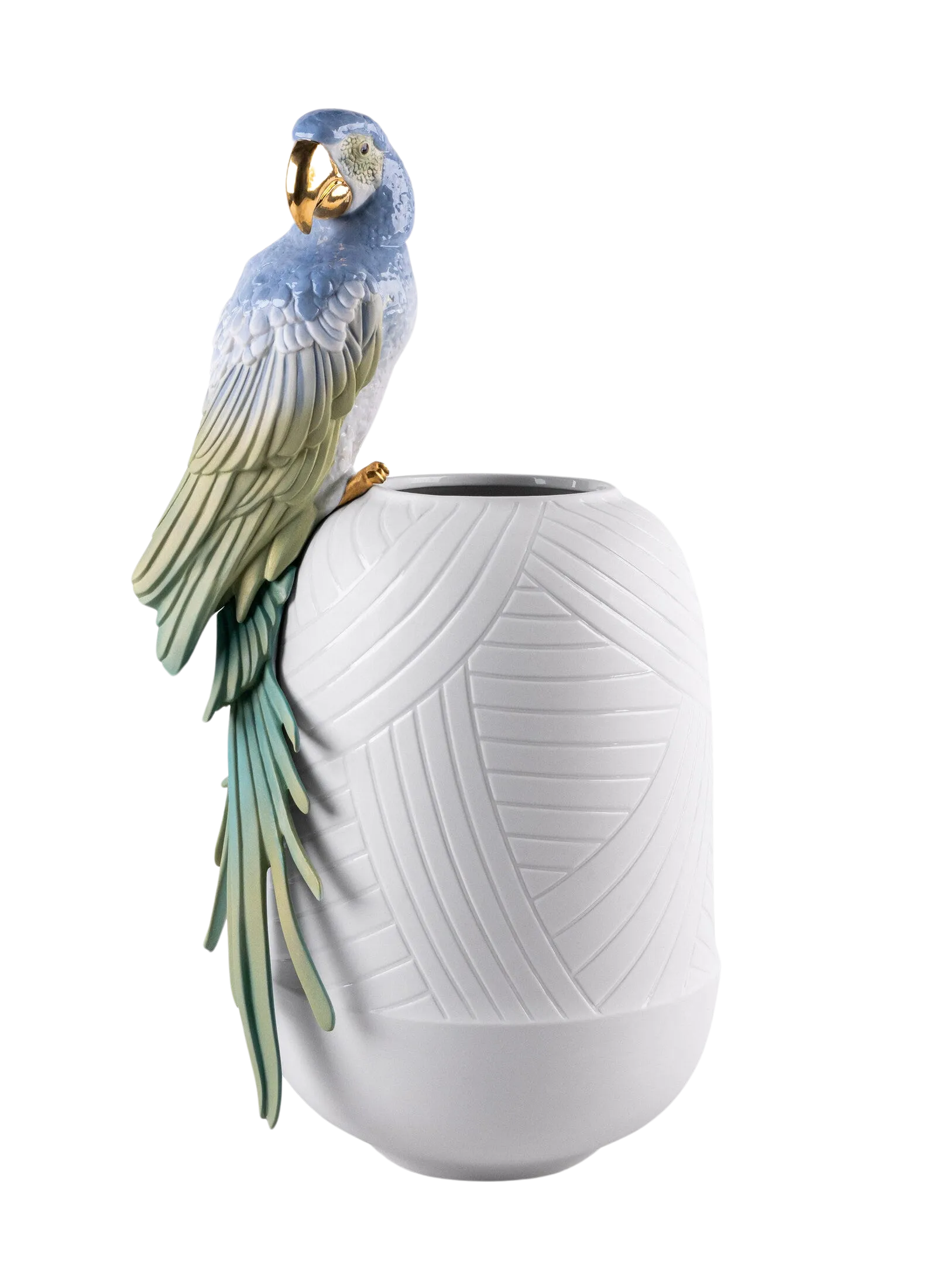 Jarrn Guacamayo