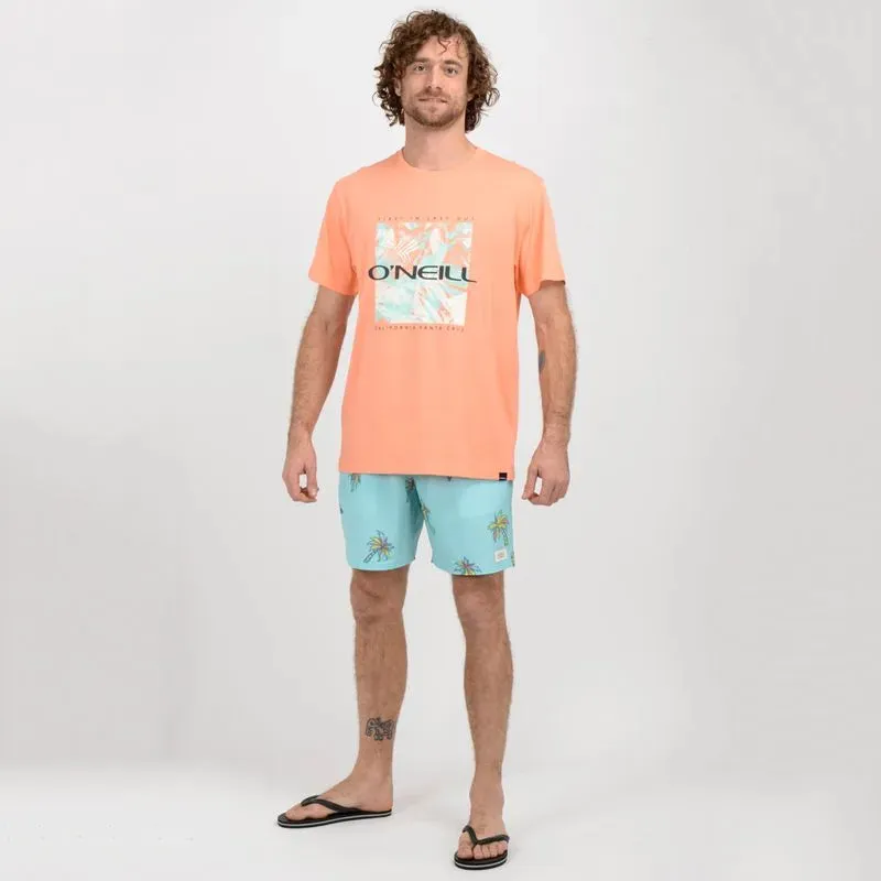Traje de baño Hombre Boards trunk azul claro