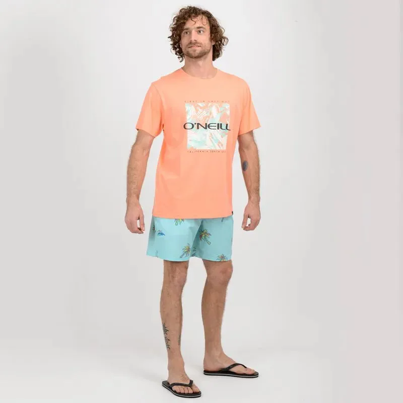 Traje de baño Hombre Boards trunk azul claro